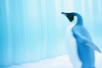 A penguin animal bird underwater. AI generated Image by rawpixel.