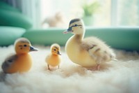 Baby duck follow their mummy duck animal bird beak. AI generated Image by rawpixel.