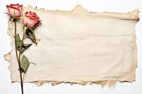 Flower newspaper plant rose. AI generated Image by rawpixel.