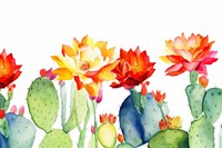 Cactus flowers backgrounds nature plant.