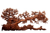A body tree wood plant art. AI generated Image by rawpixel.