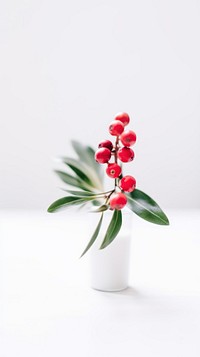 A holly on the white table flower plant petal.