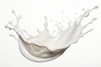 A milk splash white simplicity splashing.