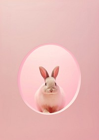 A rabbit in a pastel pink hole rodent animal mammal.
