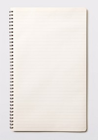 An empty notebook paper publication diary page.