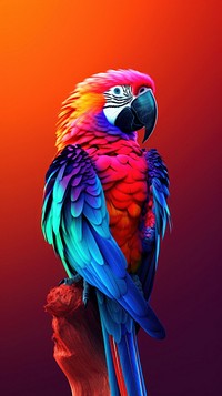 3d illustration of a parrot animal bird wildlife.