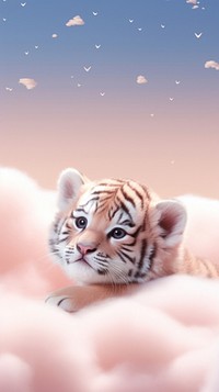 Cute tiger wildlife animal mammal.
