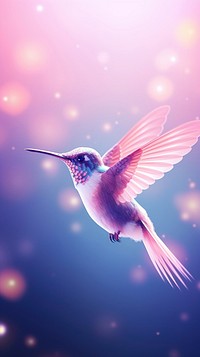 Cute hummingbird animal purple flying.