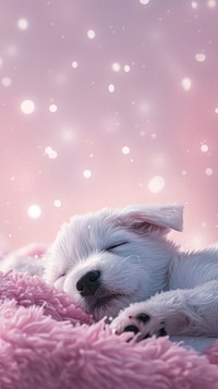 Cute sleeping dog mammal animal puppy.