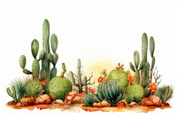Cactuses plant land outdoors.