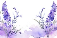 Lavender border blossom flower purple.