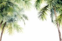 Palms land outdoors nature.