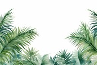 Palm leaves outdoors nature plant.