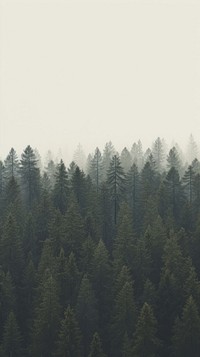  Pine forest outdoors woodland nature. AI generated Image by rawpixel.