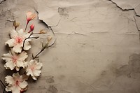 Flower paper crumpled backgrounds petal.
