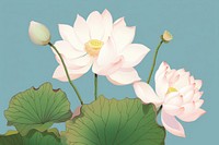 Lotus frame blossom flower petal.