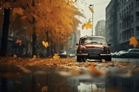 Autumn leaves fall down car vehicle street.