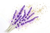Golden glitter outline stroke with purple watercolor lavender backgrounds flower plant.