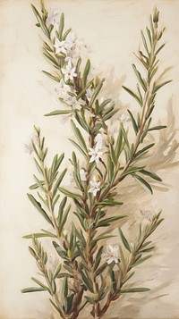  Rosemary pattern painting flower plant. AI generated Image by rawpixel.