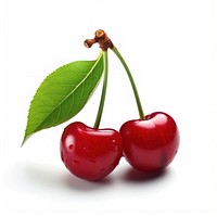 Cherry fruit plant food.