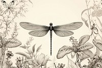 Dragonfly drawing insect animal.