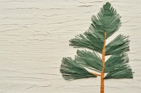 Pine backgrounds plant paper.