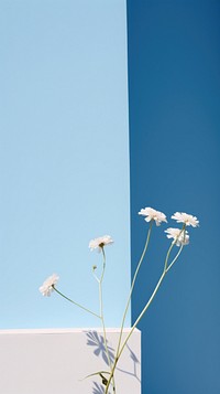  Garden of flower sky outdoors nature. AI generated Image by rawpixel.