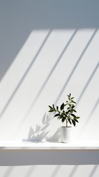  Shadow of window plant white leaf. AI generated Image by rawpixel.
