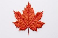 Maple leaf in embroidery style plant tree creativity.