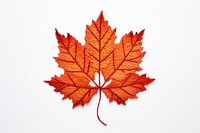 Autumn leaf in embroidery style maple plant tree.