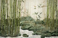 Bamboo grove outdoors nature plant.