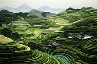 Rice terrace landscape architecture agriculture.