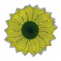Abstract sunflower plant line white background.