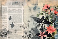 Winter newspaper flower plant.