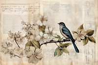 Ephemera style of pale bird animal paper art.