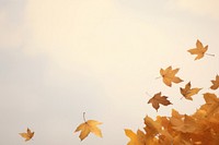 Autumn leaves backgrounds plant maple. AI generated Image by rawpixel.
