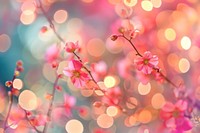 Flower pattern bokeh effect background backgrounds outdoors blossom.