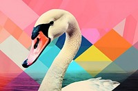 Minimal Collage Retro dreamy of swan animal bird beak.