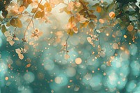 Nature pattern bokeh effect background backgrounds sunlight outdoors.