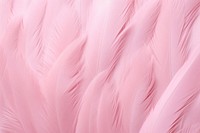 Feather background backgrounds pink bird.