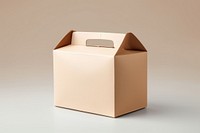 Food packaging  cardboard carton box.
