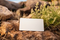 Business Card  outdoors nature flower.