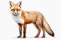 The fox in embroidery style wildlife animal mammal.