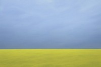 Rapeseed field sky outdoors horizon. AI generated Image by rawpixel.