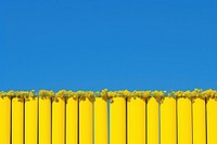 Rapeseed field outdoors nature fence. AI generated Image by rawpixel.