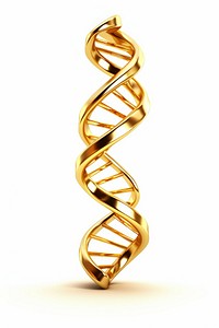 A DNA gold jewelry white background.