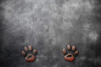 Cat paw imprint backgrounds blackboard carnivora. 