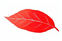 A red tree leaf plant white background blossom.