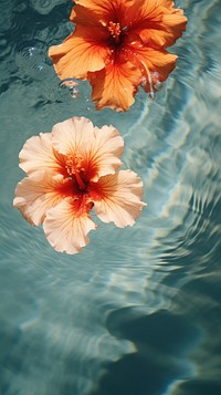 Hibiscus flowers hibiscus floating outdoors.