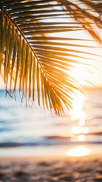 Palm trees sunlight beach sea.